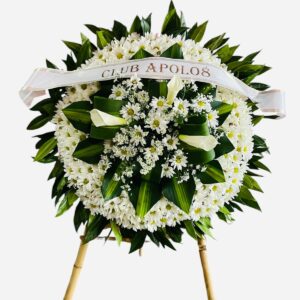 Luz y Esperanza