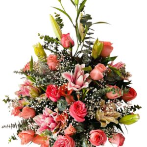 Encanto Rosado