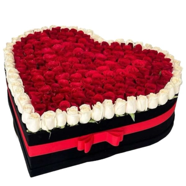 Caja Corazón Clásico Bicolor