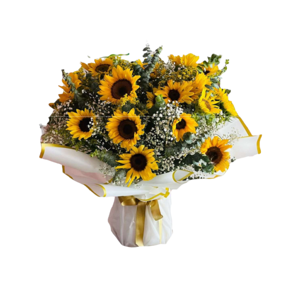 Radiante Girasoles